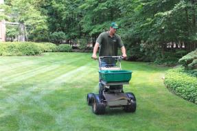 Commercial Landscape Maintenance project